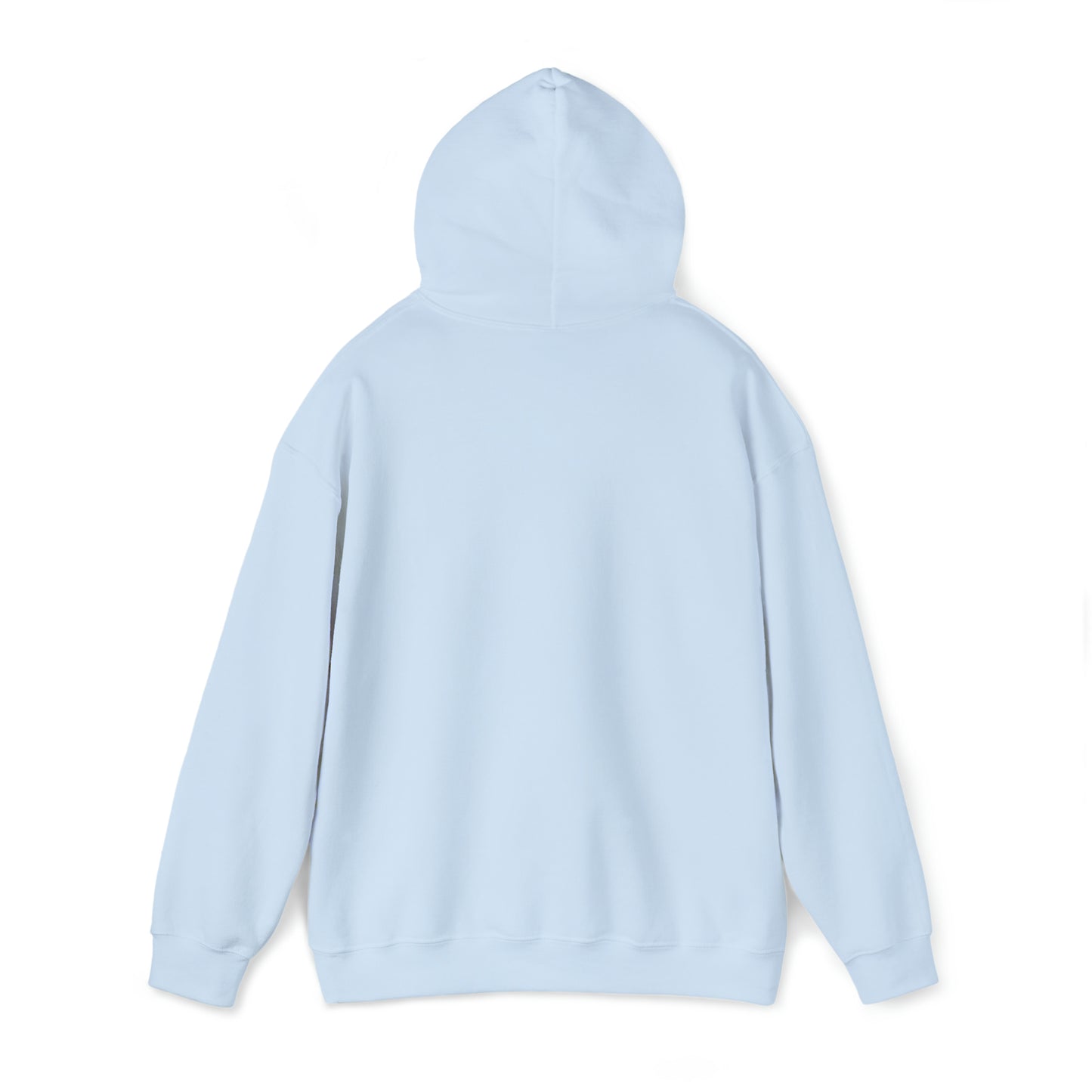 Lost at Sea  - ‘Snook’ Hoodie