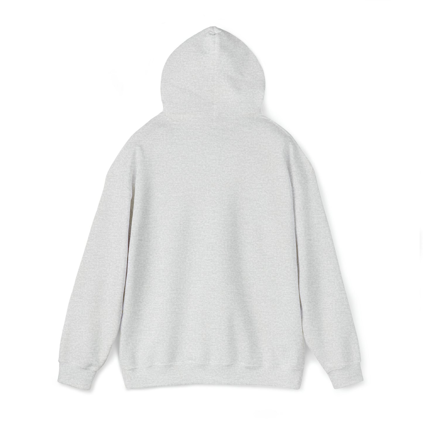 Lost at Sea  - ‘Snook’ Hoodie